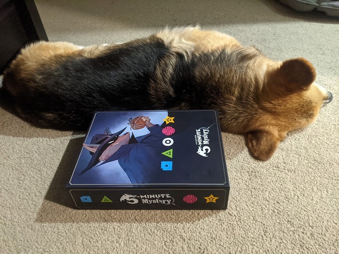 The 5-Minute Mystery box laying beside Chester the Corgi. It's about 1/2 a corgi long.