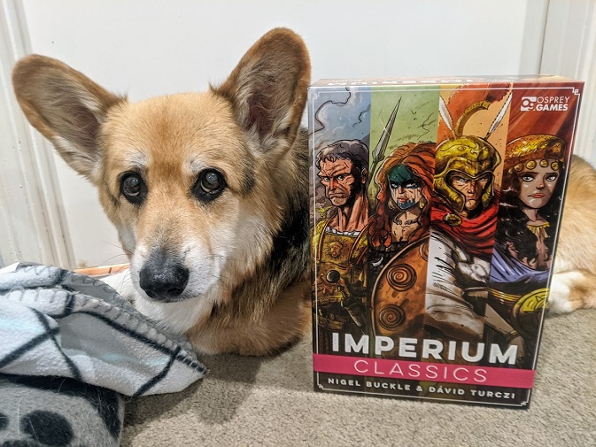 Cute old tri-colour corgi laying behind the Imperium Classics box.