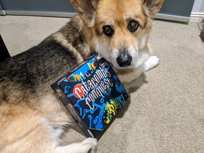 Tri-colour Chester the Corgi laying next to Catacombs Conquest board game box.