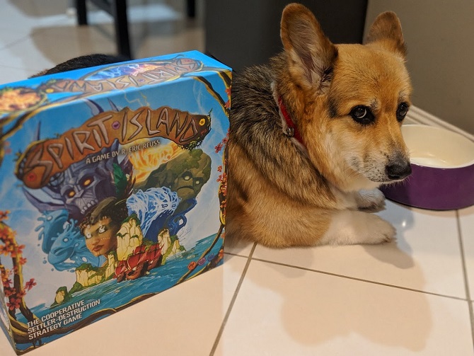 Chester the Corgi looking unimpressed by the cover of Spirit Island.
