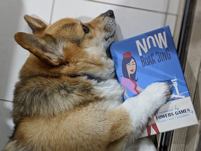 Chester the corgi holding the box for the board game Now Boarding