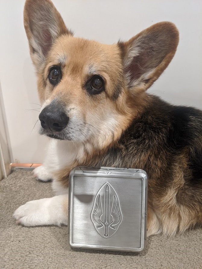 Gorgeous corgi next to the box of Tellstones: King's Gambit.