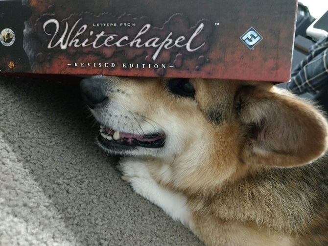 Smiling Corgi with the Letters From Whitechapel box on his head.