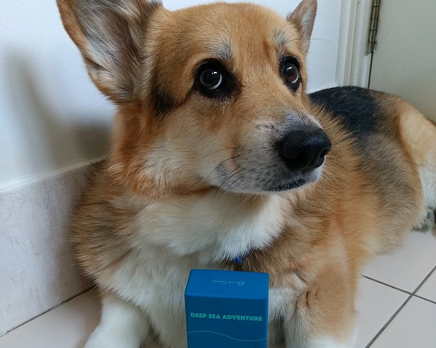 Deep Sea Adventure box next to a corgi. It's so small in comparison.