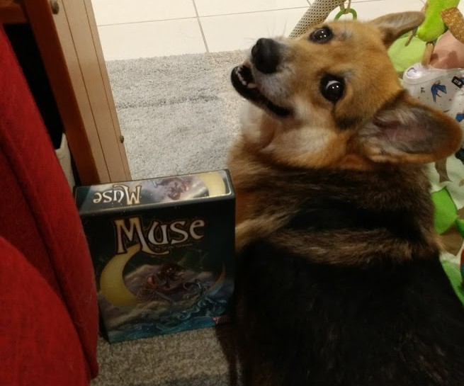 Corgi looks back over his shoulder and over a copy of Muse. He looks happy.