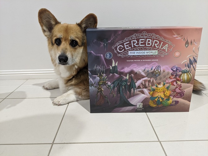 Cerebria the Inside World box placed in front of a Corgi. It's almost as long!