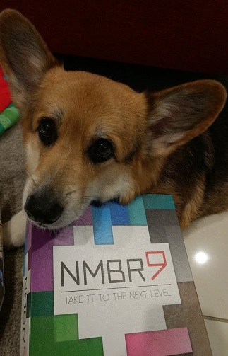 Corgi laying with his head on the board game box.