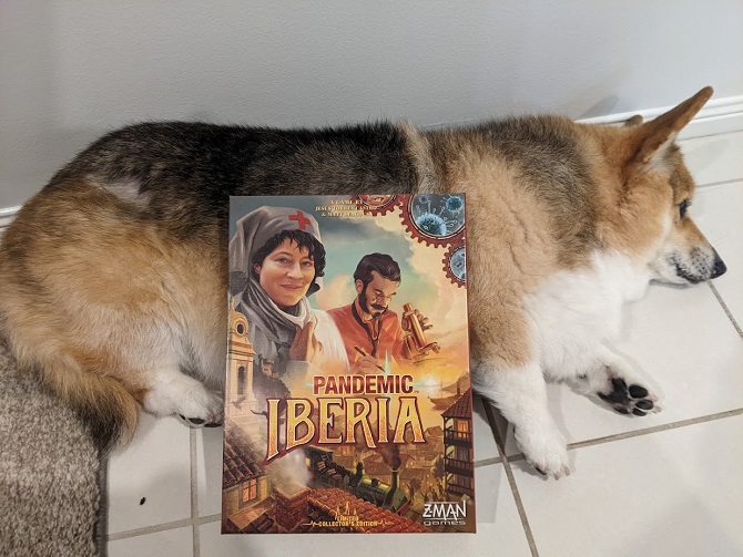Pandemic Iberia box on top of a sleepy corgi.
